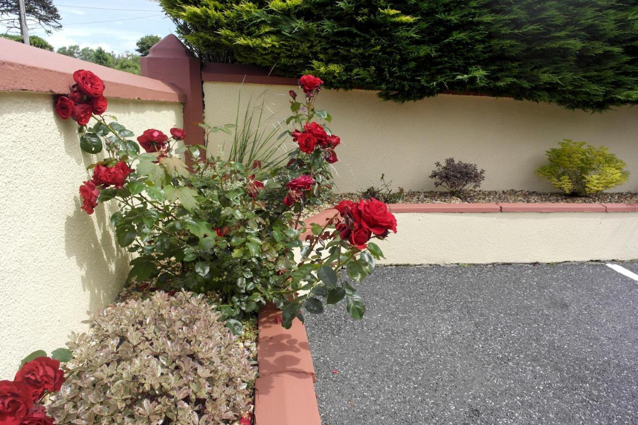 Seacourt Accommodation Tramore - Adult Only Zewnętrze zdjęcie